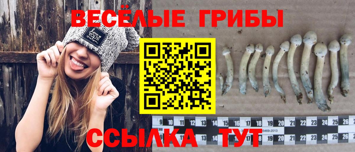 Галлюциногенные грибы прущие грибы Магадан