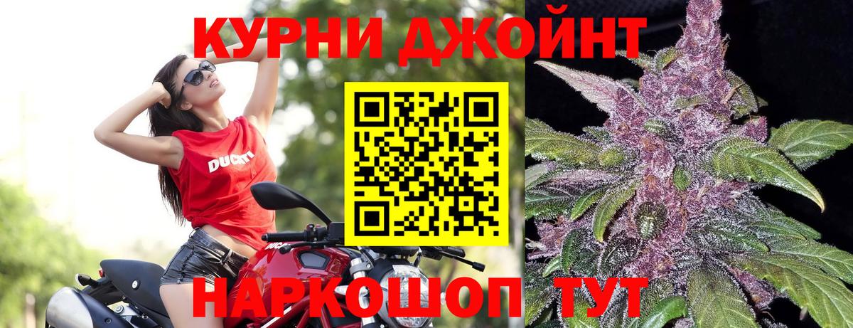 Бошки Шишки сатива Магадан